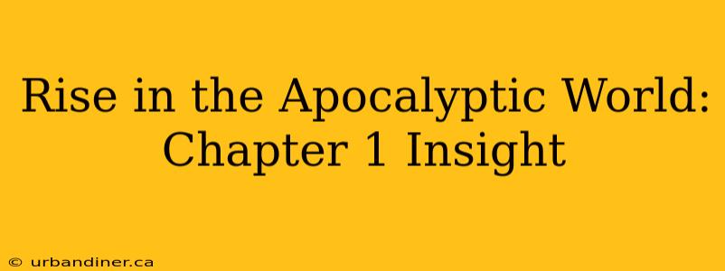 Rise in the Apocalyptic World: Chapter 1 Insight